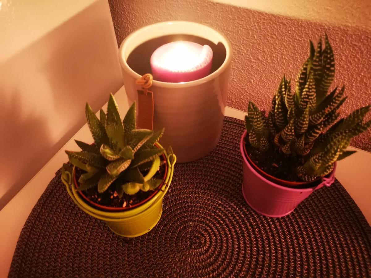Apartamento De Raa 托雷维耶哈 外观 照片